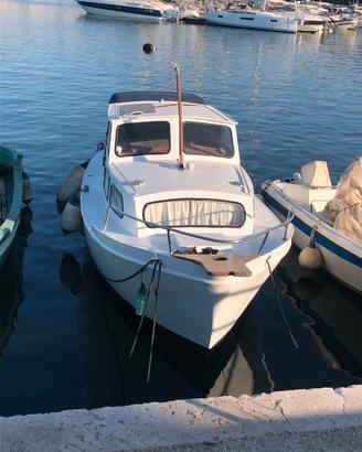 a malincuore x motivi di salute