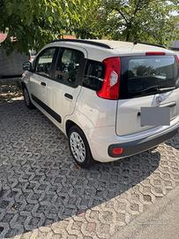 Panda 1.2 neopatentati