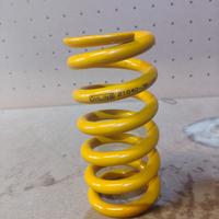 Molla ohlins 