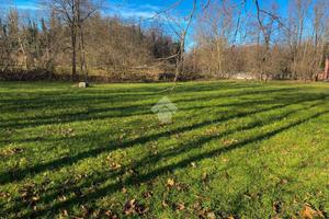 TER. AGRICOLO A AIRUNO