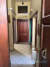 Ufficio-Studio con piccolo giardino zona centrale