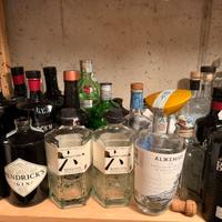 Lotto 10 bottiglie gin vuote leggi descrizione