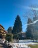 limone-ti-aspetta-il-tuo-angolo-di-paradiso