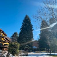 Limone ti aspetta: il tuo angolo di paradiso