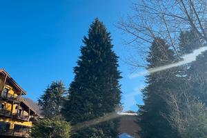 Limone ti aspetta: il tuo angolo di paradiso