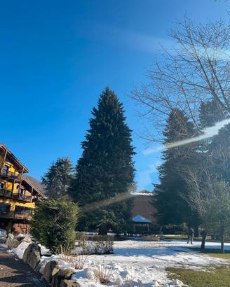 Limone ti aspetta: il tuo angolo di paradiso