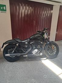 harley davidson 883 iron xl  2014