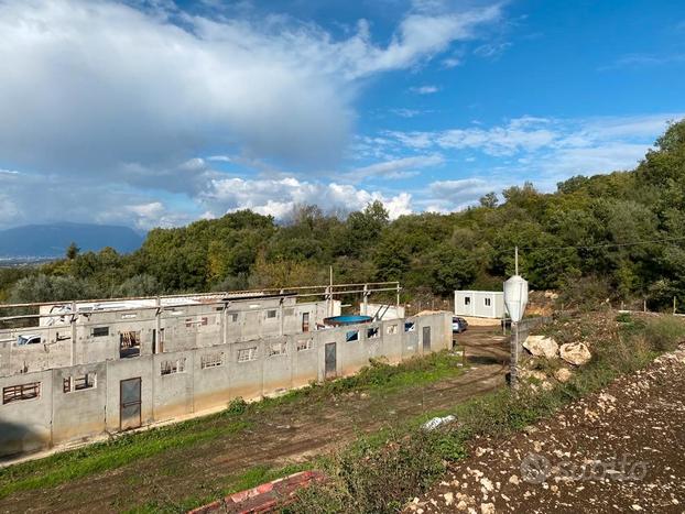 Azienda agricola Postiglione