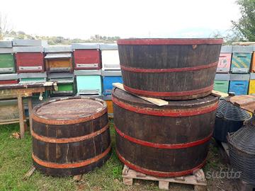 Tini vino in legno di quercia