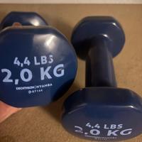 Manubri palestra dechatlon