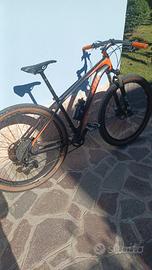 Mtb carbonio ktm