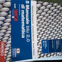 5 manuale blu 2.0 di matematica Zanichelli 