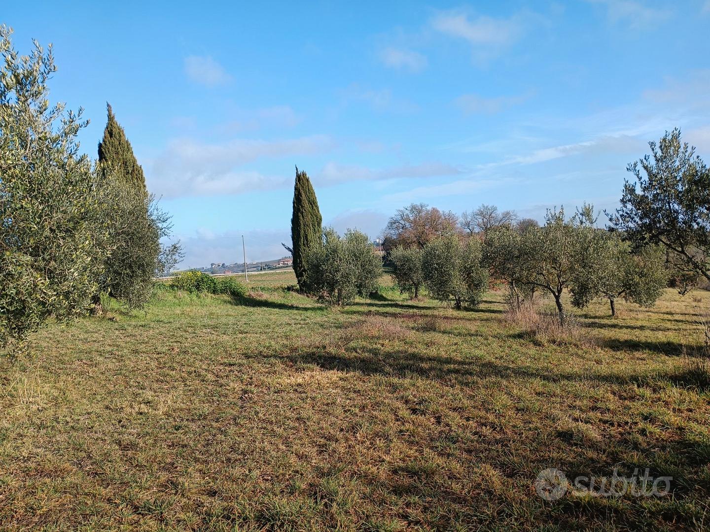 Rustico da ricostruire - Vista 3