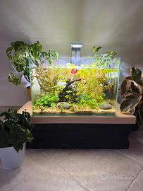 Per acquario