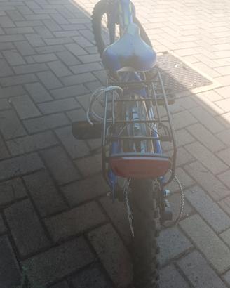 Bici bimbo da 20 pollici