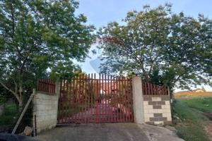 Terreno - Grammichele