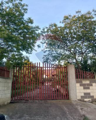 Terreno - Grammichele