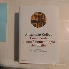 Lineamenti della fenomenologia del diritto