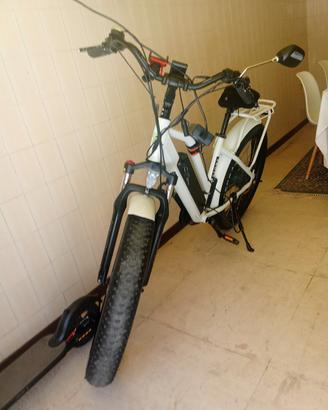 tech bike 750 w