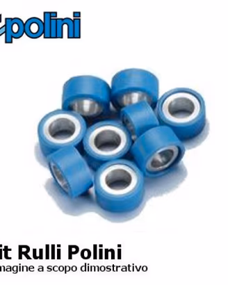 RULLI VARIATORE POLINI 16×10 GR 3,0 OZ.0105