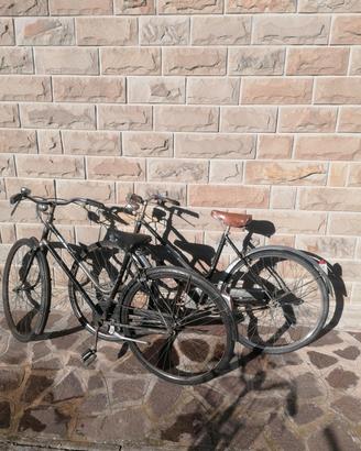Bicicletta donna 