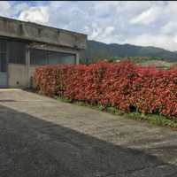 Laboratorio/Magazzino