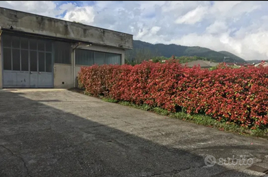 Laboratorio/Magazzino