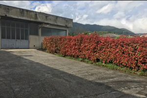 Laboratorio/Magazzino