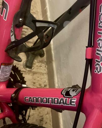 MTB CANNONDALE “CAFFEINE”-HANDMADE USA ( RUOTA 26’