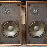 Pioneer CS-E420 casse diffusori