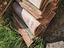 Immagine 1