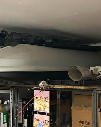 portapacchi da tetto