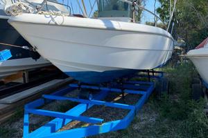 Capelli 17 plus con documenti