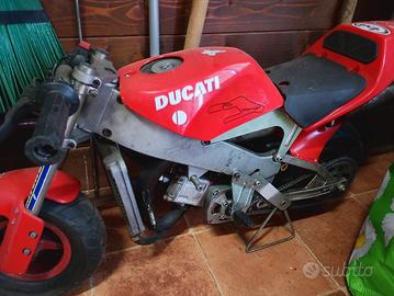 minimoto polini