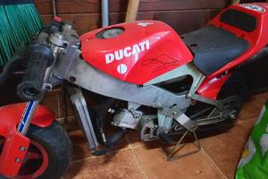minimoto polini