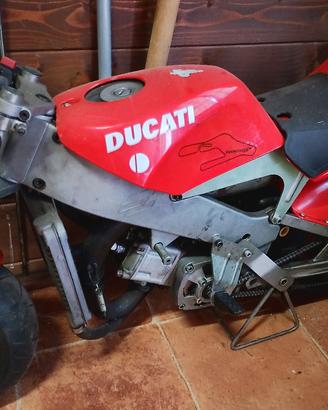 minimoto polini