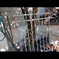 Inferriata in ferro zincato  per finistra