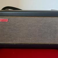 Amplificatore Positive Grid