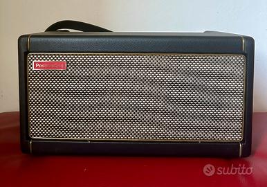 Amplificatore Positive Grid