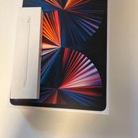 Ipad Pro 12.9 (5 gen) 256 gb + Apple Pencil