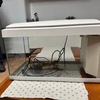 Acquario da 80 litri completo