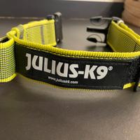 Collare julius k9 lime