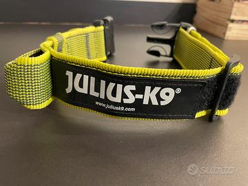 Collare julius k9 lime