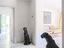 Immagine 14