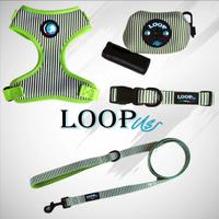 Set accessori da passeggio per cani