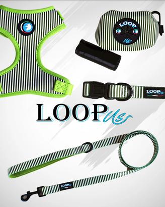 Set accessori da passeggio per cani