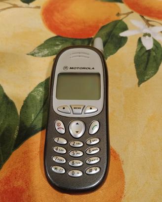 motorola t191