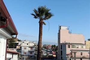 Tremestieri, appartamento con veranda