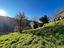 Immagine 15