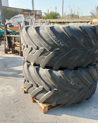 Gomme varie con cerchio o senza